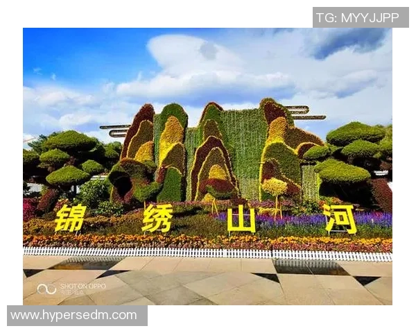 《世界足球巨星的光辉轨迹探秘高难度球技背后的传奇人物》